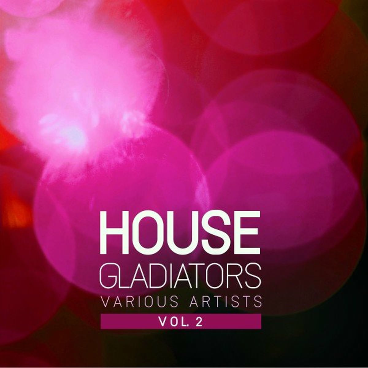 Album cover of House Gladiators, Vol. 2