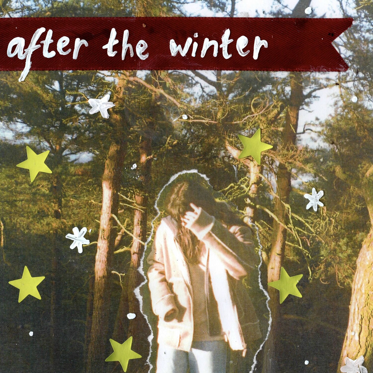 Album cover of After The Winter