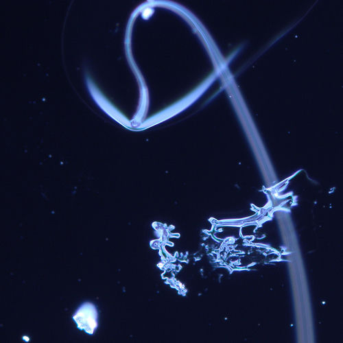 Raindrop