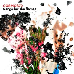 Cover of Songs for the flames