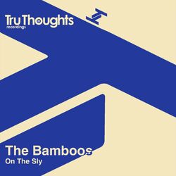 Cover of On the Sly
