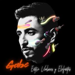 Cover of Entre Violines y Elefantes