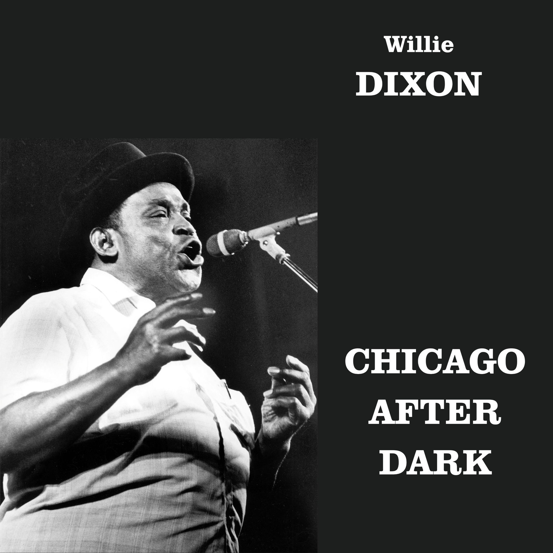 Album cover of Chicago After Dark (Remastered 2026)