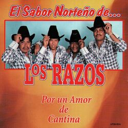 Cover of Por Un Amor De Cantina