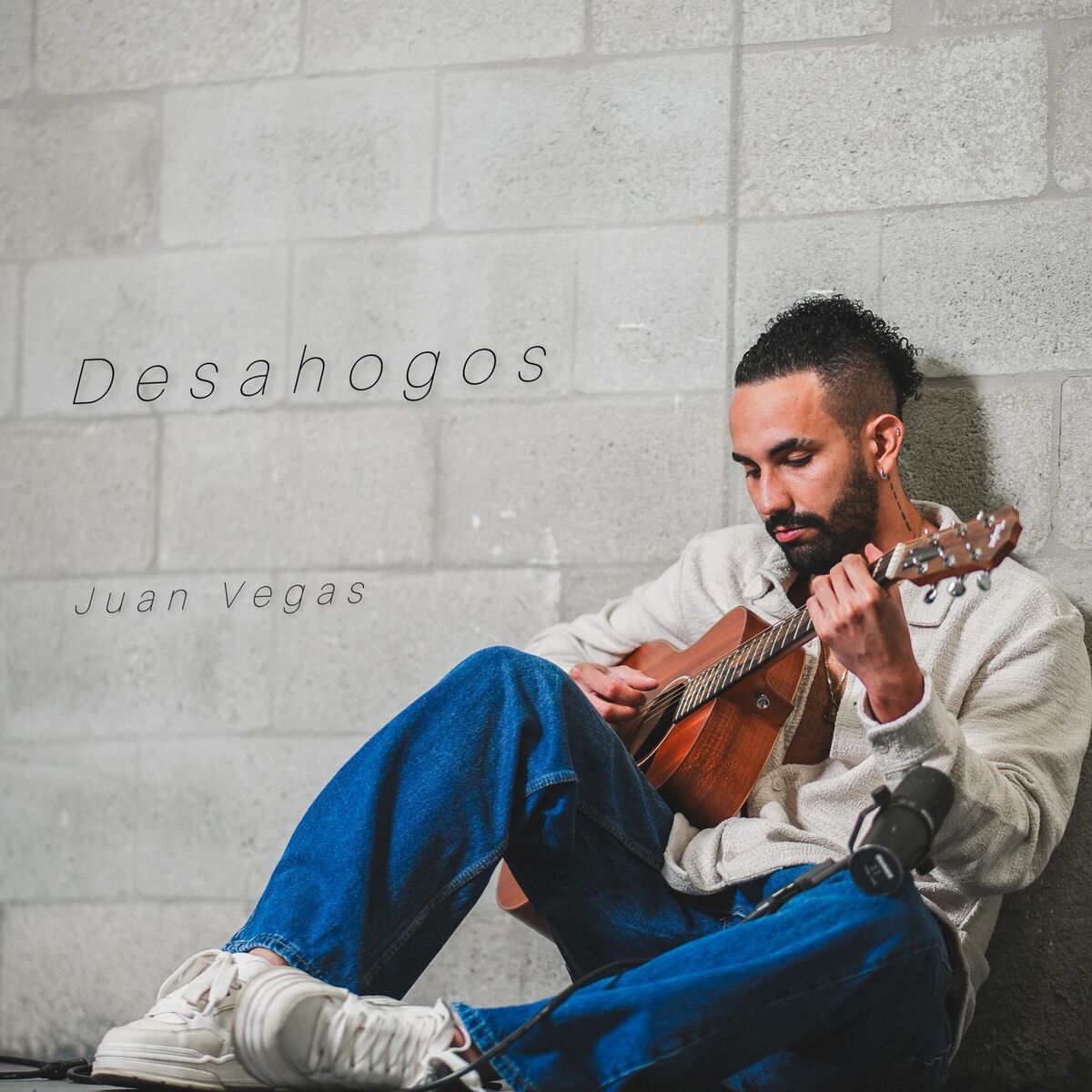 Album cover of Desahogos