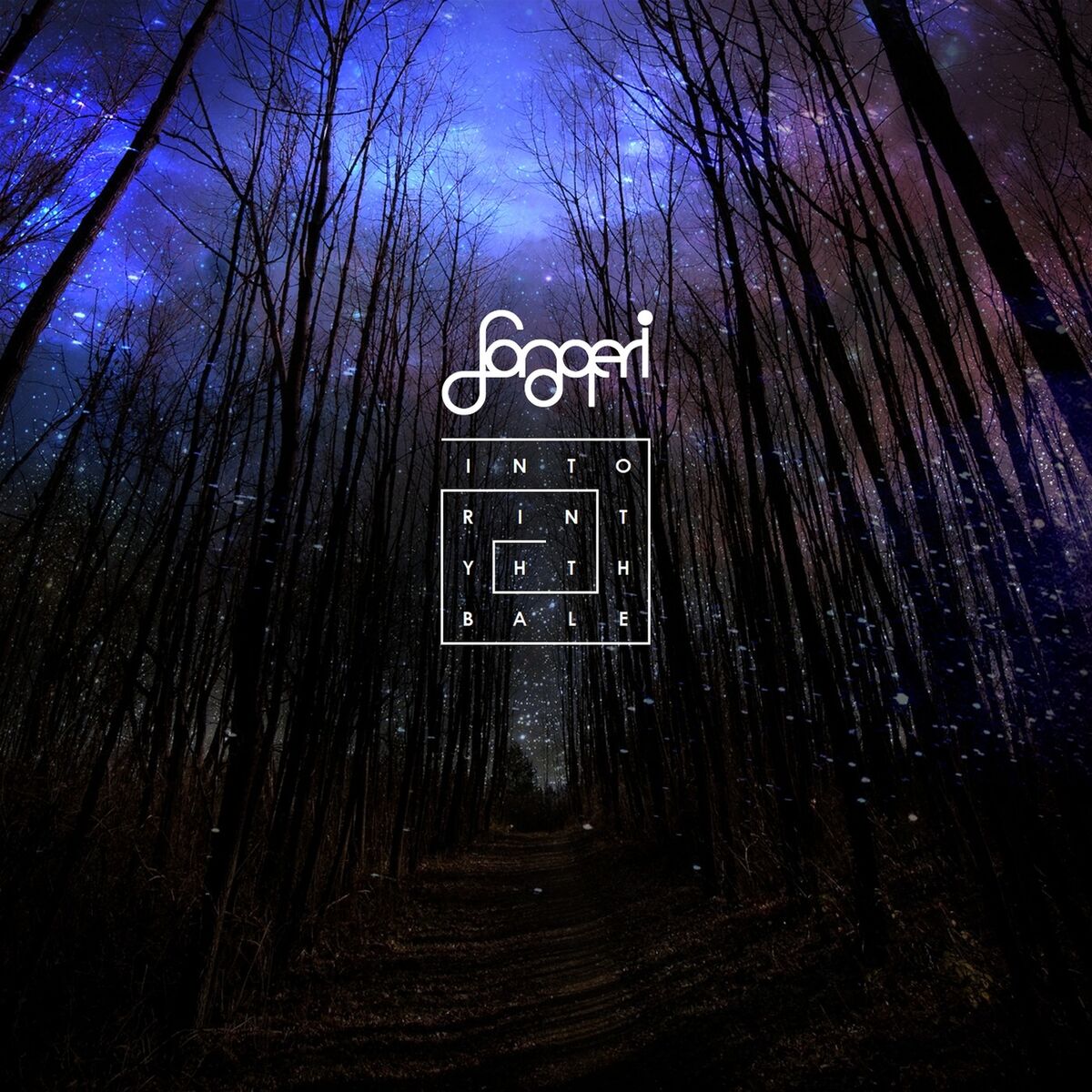 Album cover of Into the Labyrinth