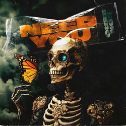 Cover of Need You