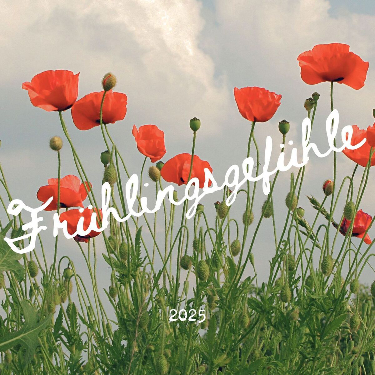 Album cover of Frühlingsgefühle 2025