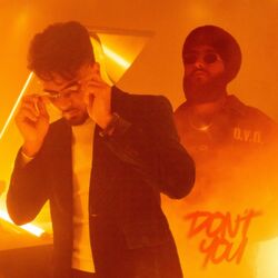 Cover of Don't You