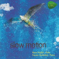 Cover of Slow Motion