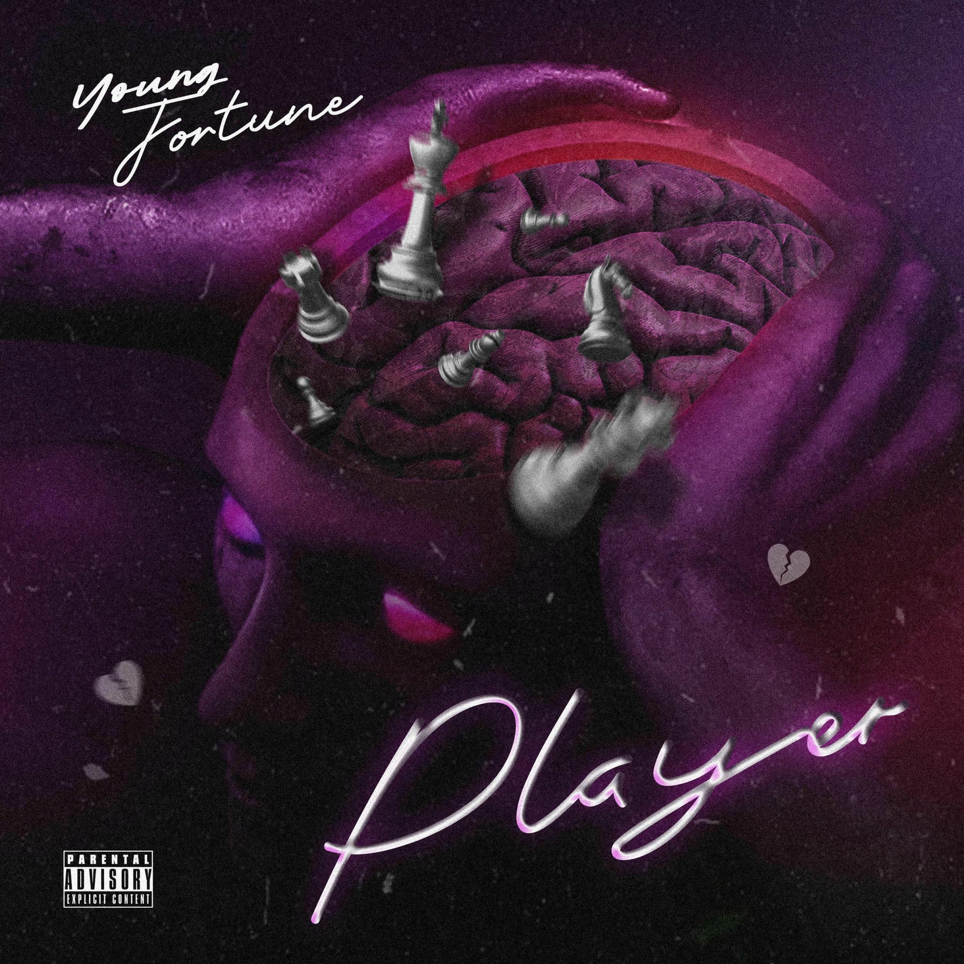 Album cover of Player