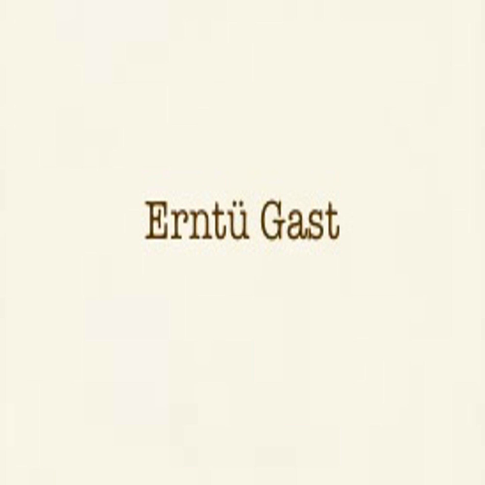 Album cover of Erntü Gast (feat. Big Turtwig & Chipmunk)