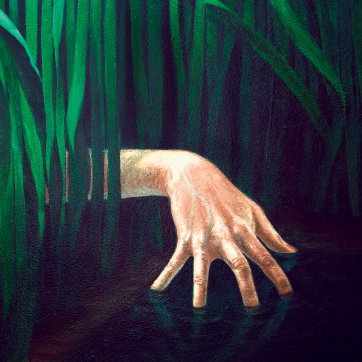 Album cover of High Tide