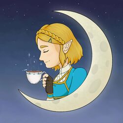 Cover of Zelda's Lullaby Lofi
