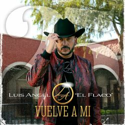 Cover of Vuelve a Mí