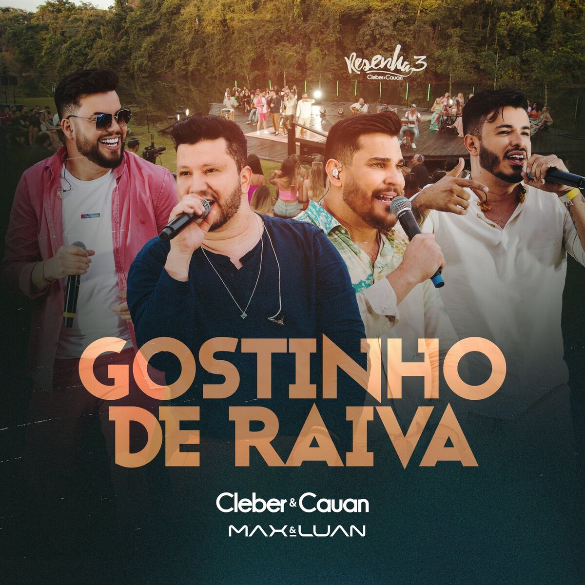 Album cover of Gostinho de Raiva