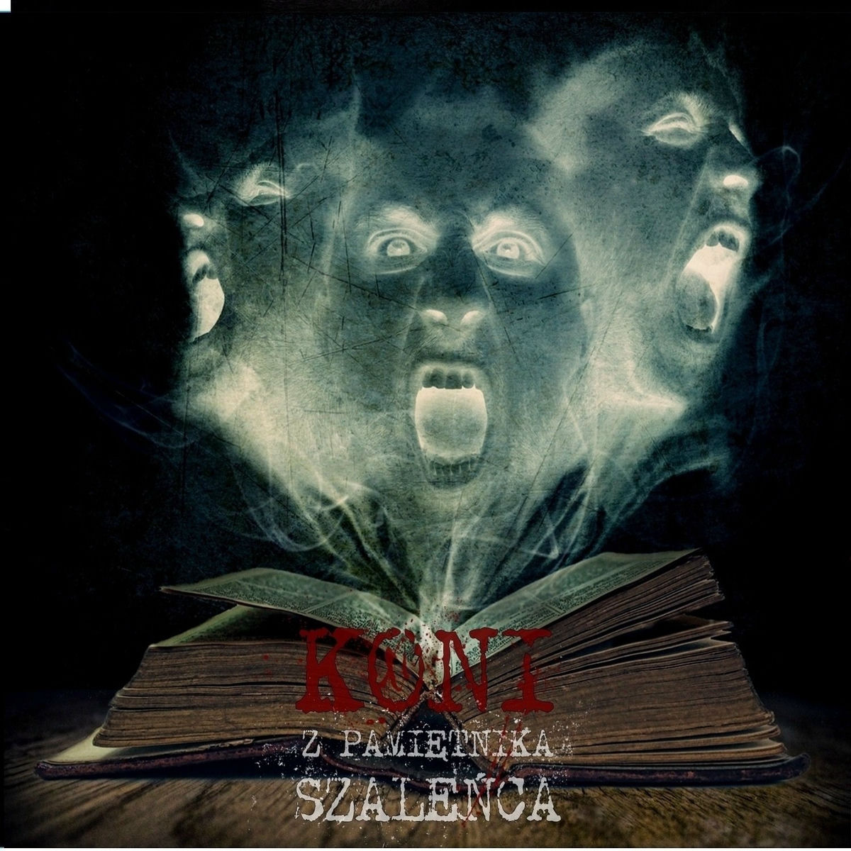 Album cover of Z Pamiętnika Szaleńca