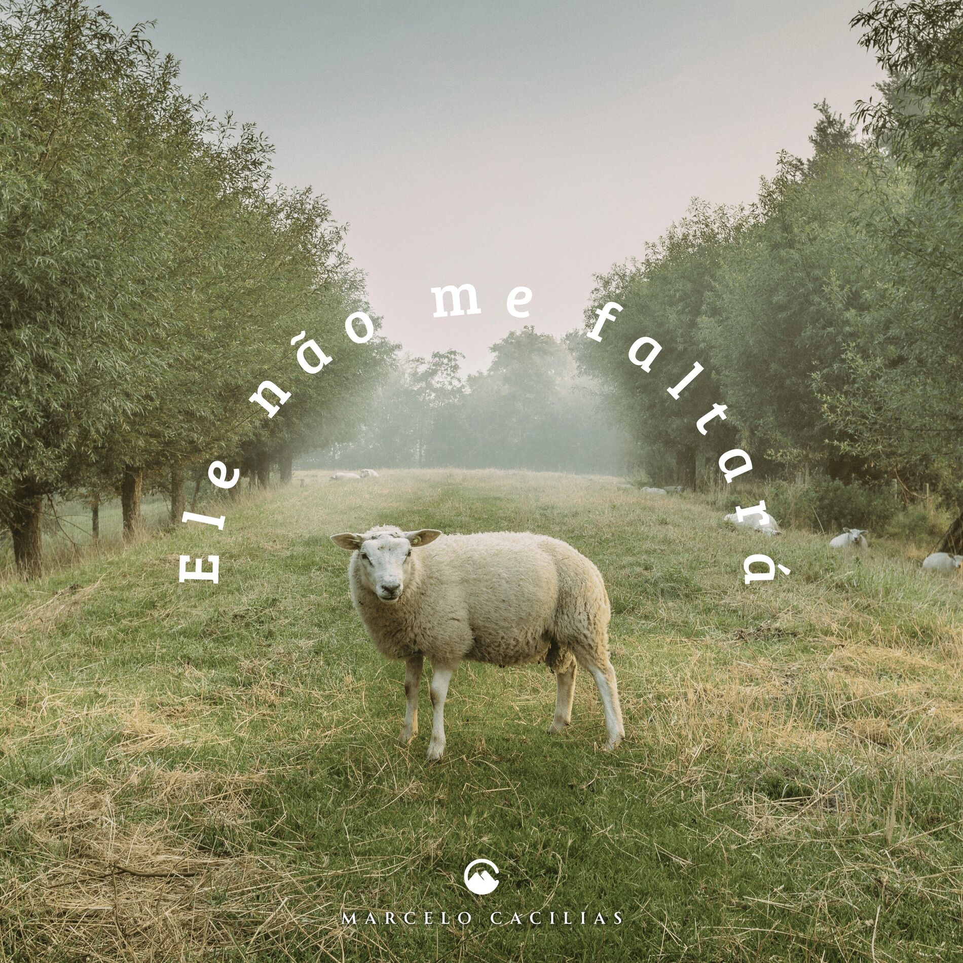 Album cover of Ele Não Me Faltará