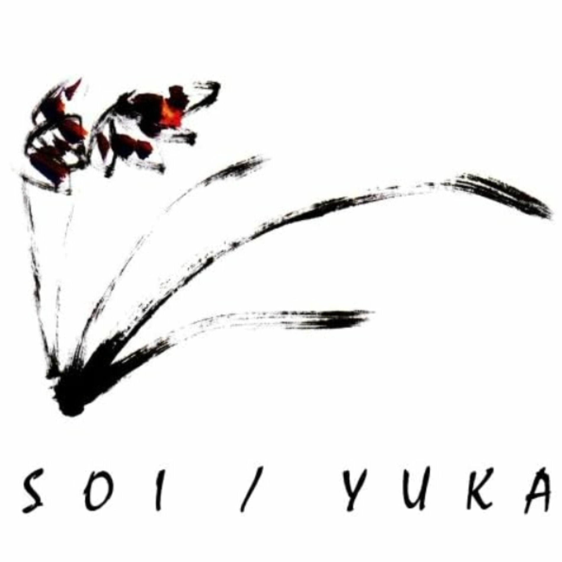 yuka•*¨*•.¸♬︎ YUKA: альбомы, песни, концерты | Deezer