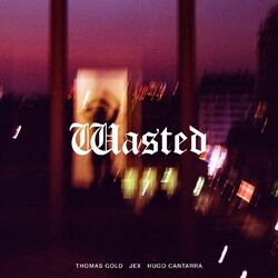 Cover of Wasted