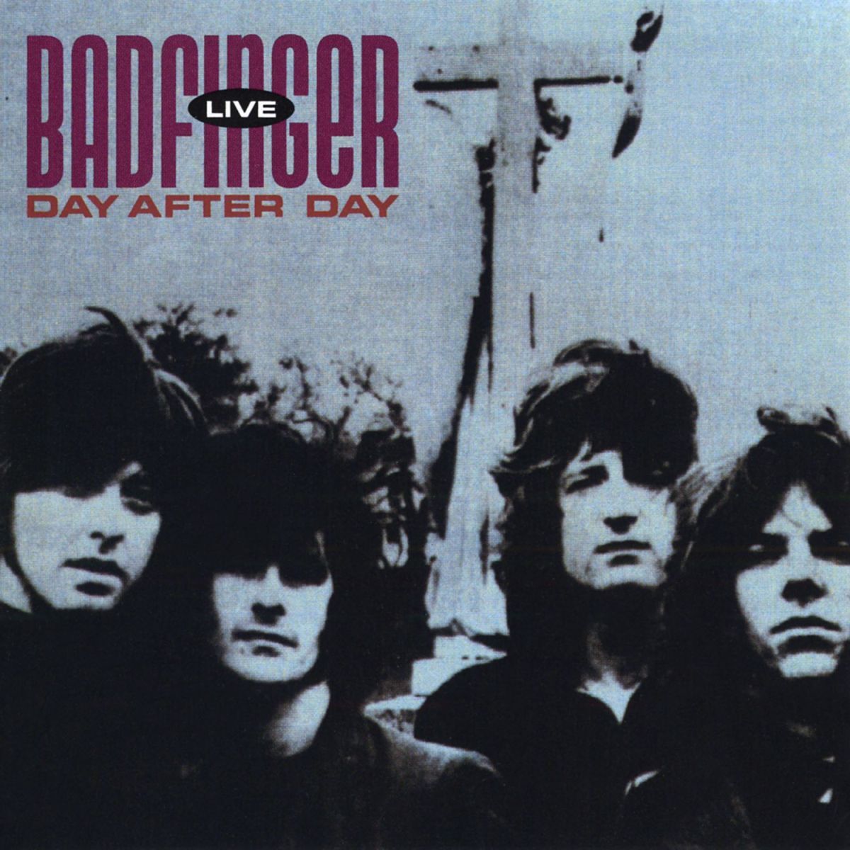Album cover of Day After Day: Live