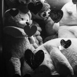 Cover of YOU