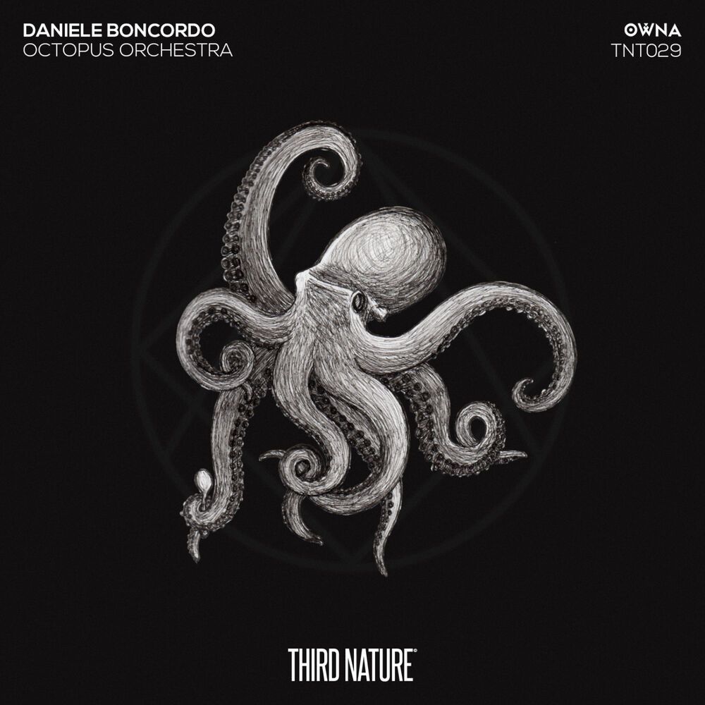 Picture of Octopus Orchestra