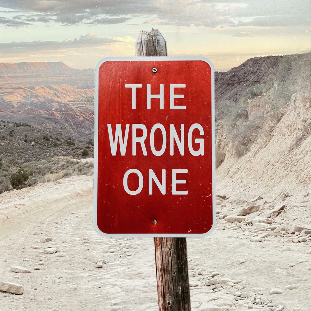 Picture of The Wrong One (feat. Eliza Harrison Smith)
