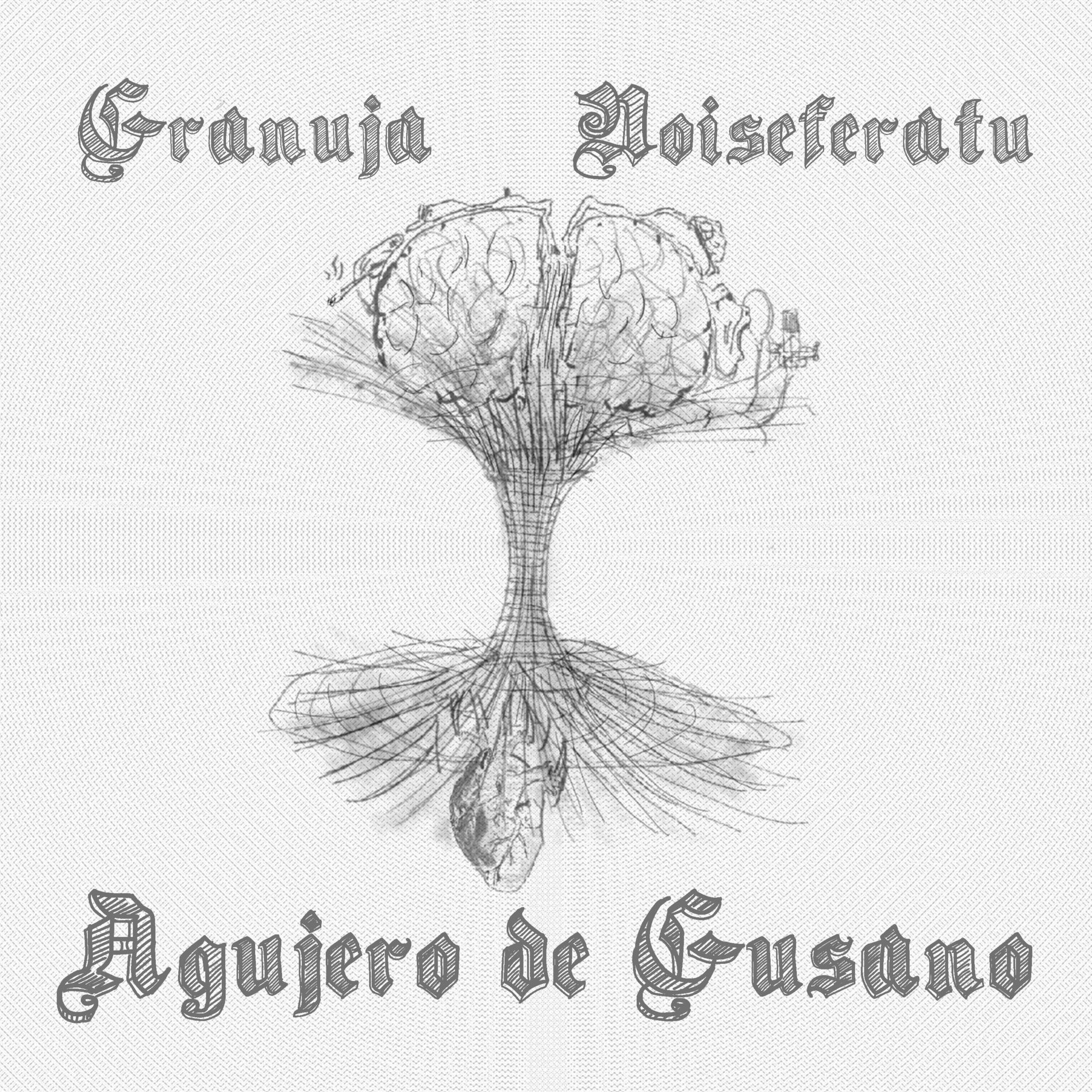 Album cover of Agujero de Gusano (EP)