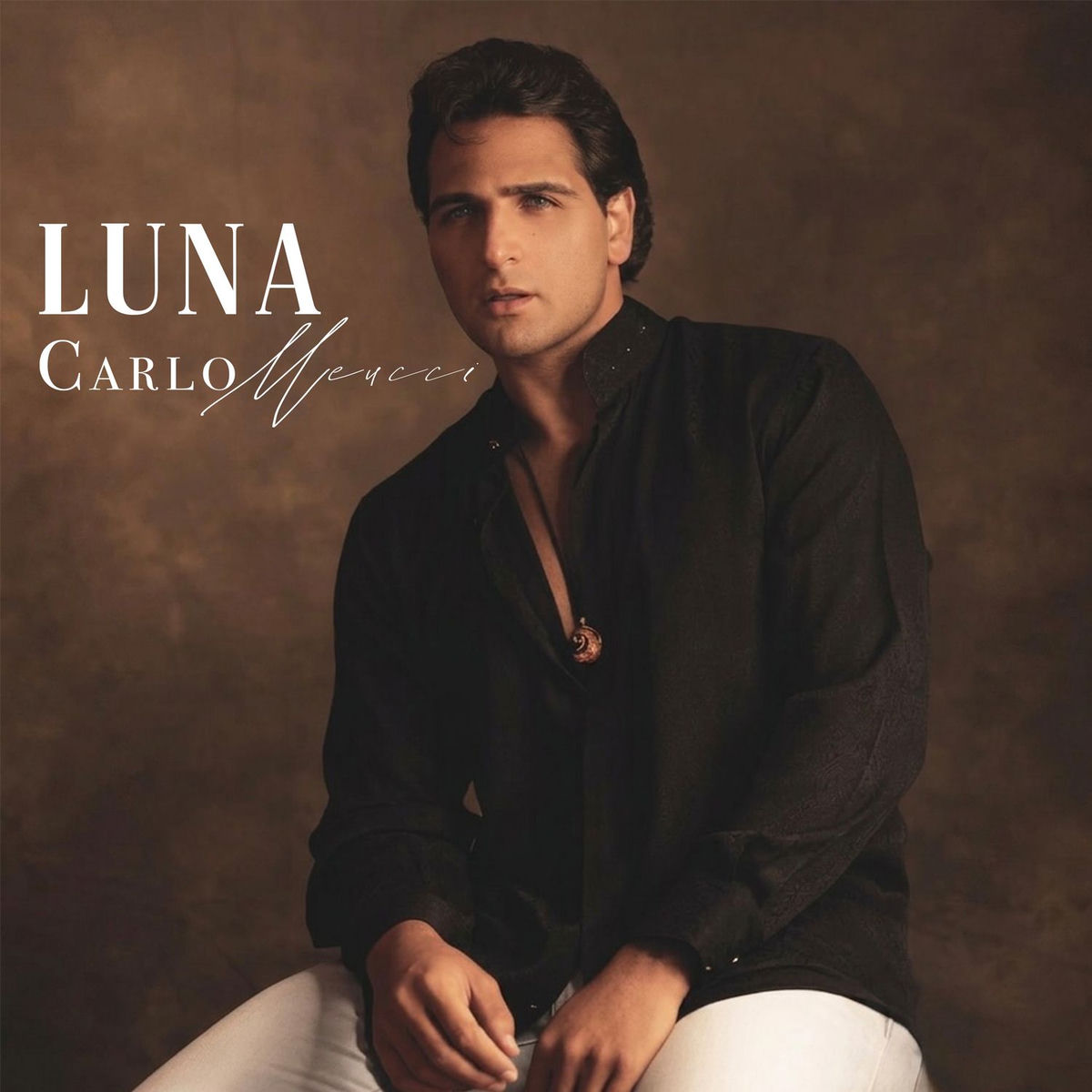 Album cover of Luna