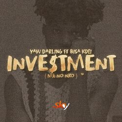 Cover of Investment