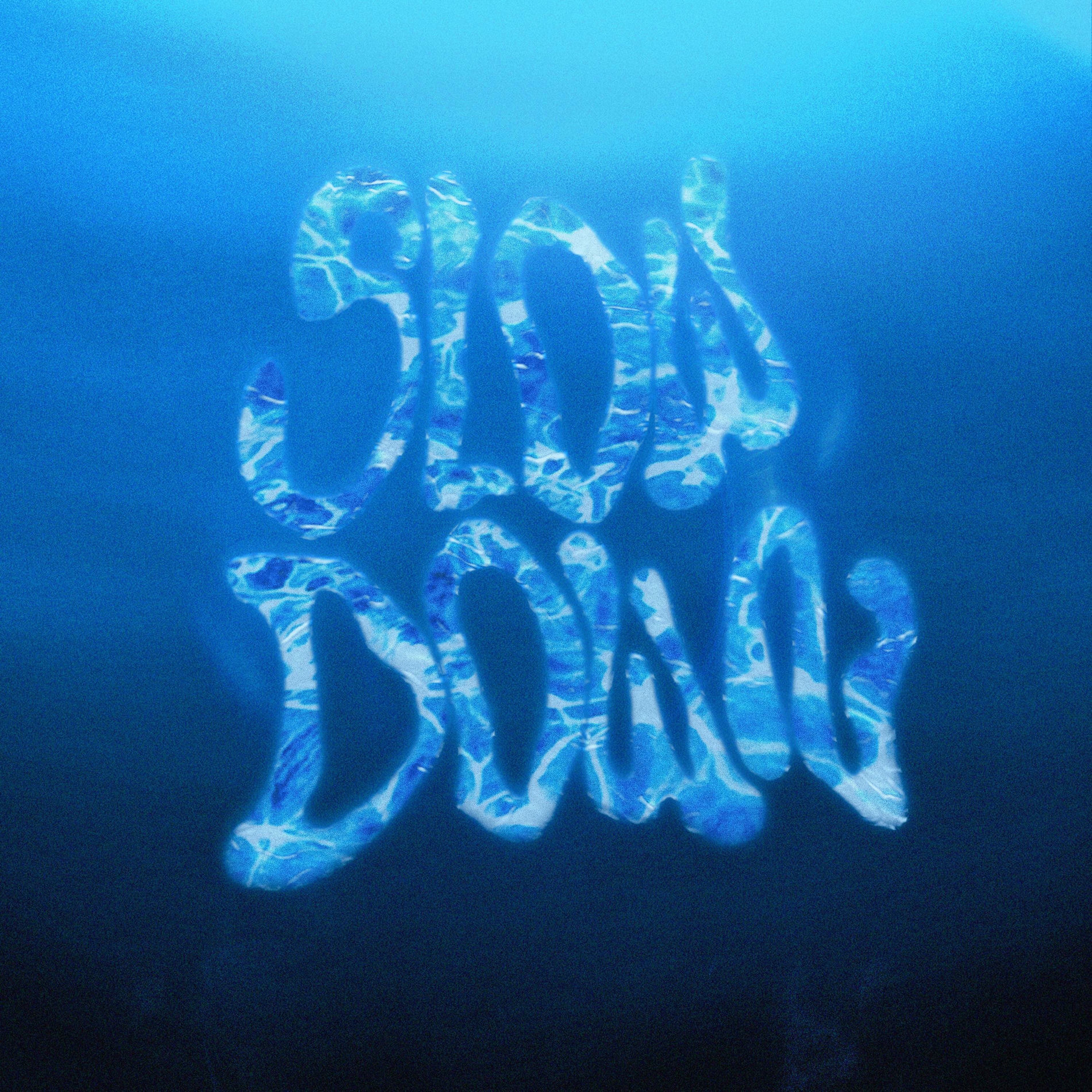 Album cover of SLOW DOWN