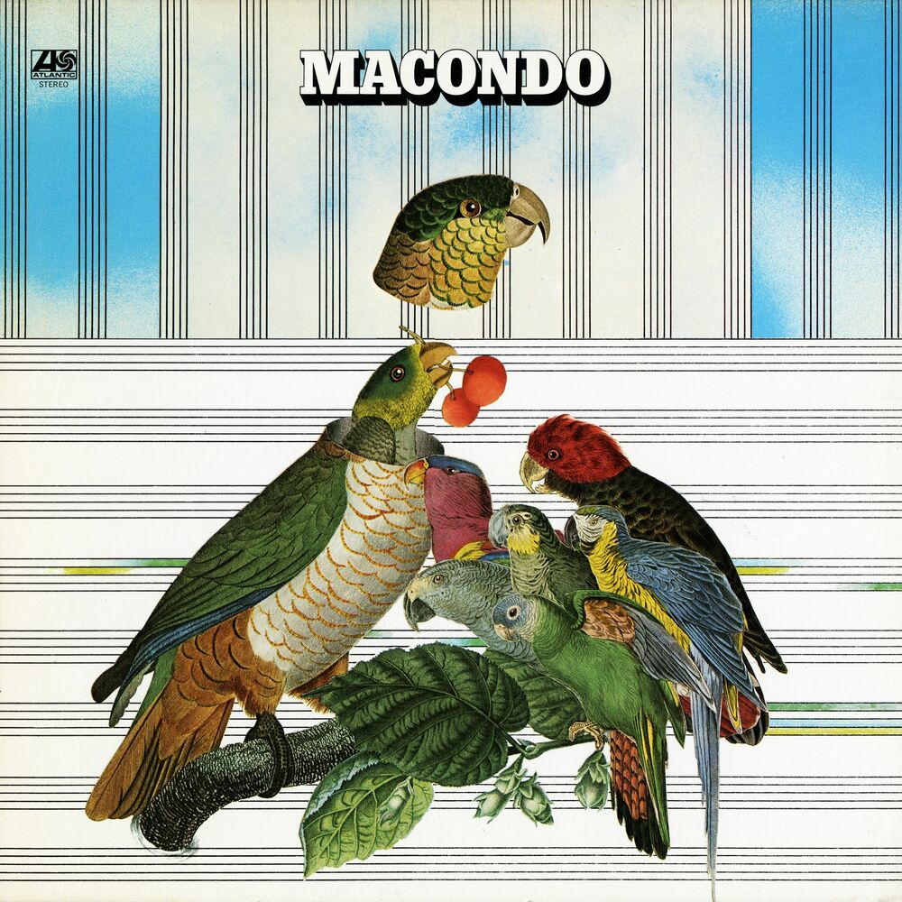 Picture of Macondo