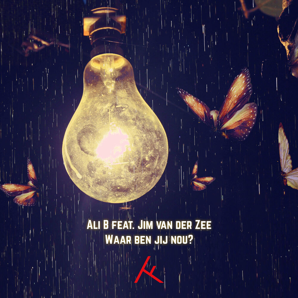 Picture of Waar Ben Jij Nou? (feat. Jim van der Zee)