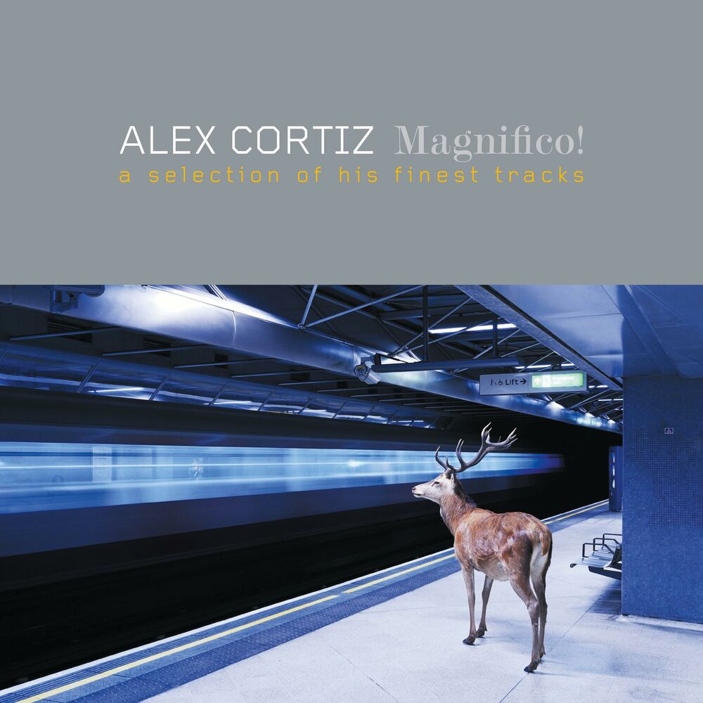 Picture of Magnifico! (A Selection of His Finest Tracks)
