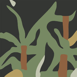 Cover of Nature
