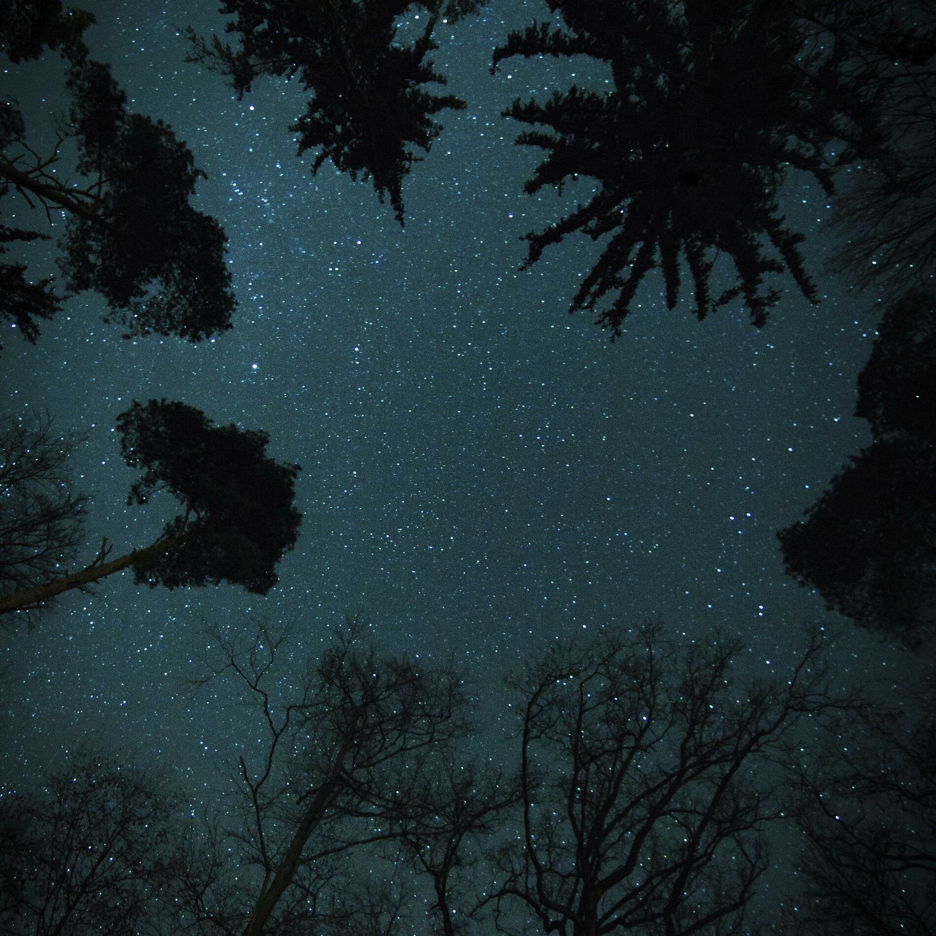 Album cover of Night Shadows