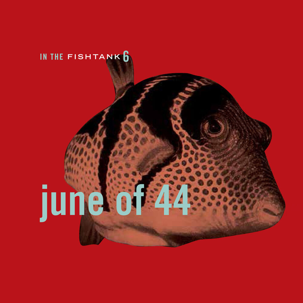 Picture of In The Fishtank 6