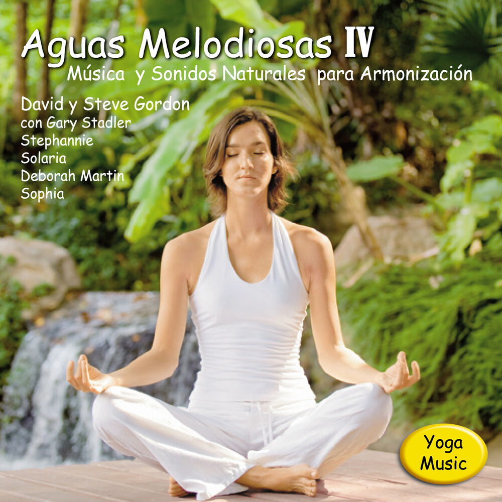 Picture of Aguas Melodiosas IV