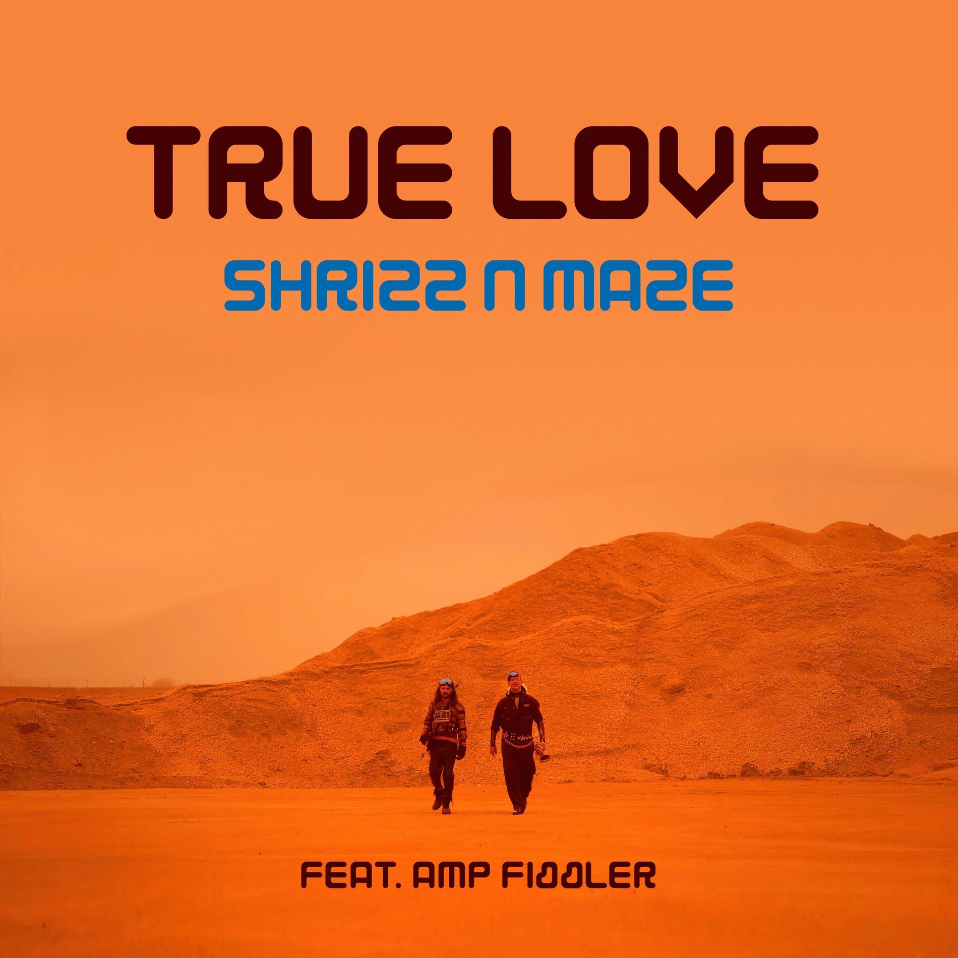 Album cover of True Love