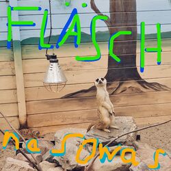 Na sowas (EP)