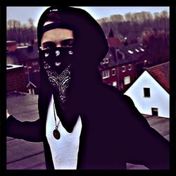 Cover of Meine Gang