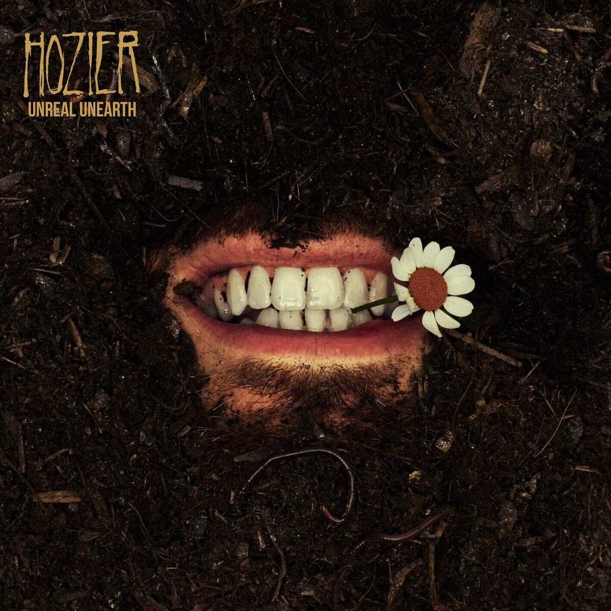 Album cover of Too Sweet
