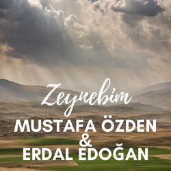 music cover