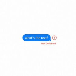 Cover of what's the use?
