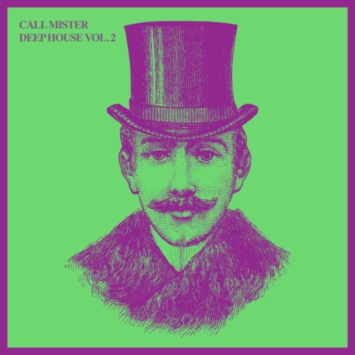 Album cover of Call Mister Deep House, Vol. 2