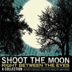 Cover of Shoot The Moon Right Between The Eyes