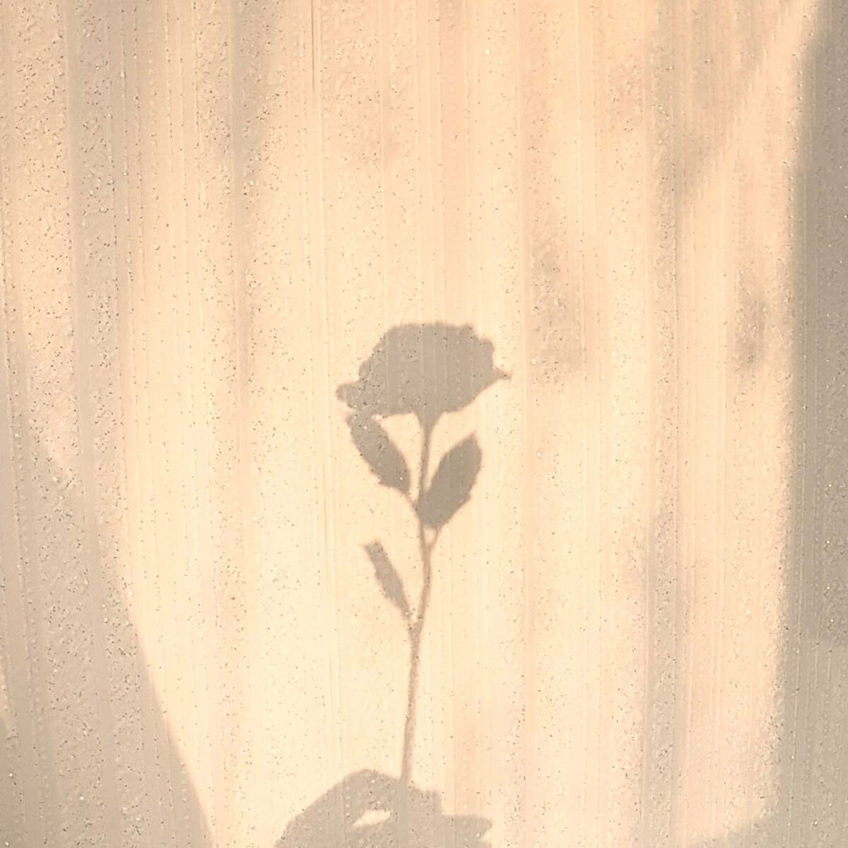 Album cover of Love Wounds 2