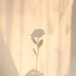 Cover of Love Wounds 2
