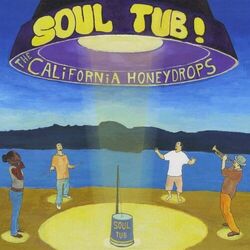 Cover of Soul Tub!